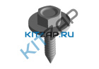 ������� ��������� ��������� ��������